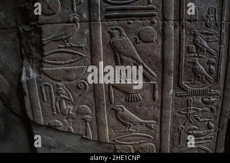 Various birds, especially the falcon appear among the ancient egyptian hieroglyphs on the temple wall at Edfu, Egypt. Stock Photo