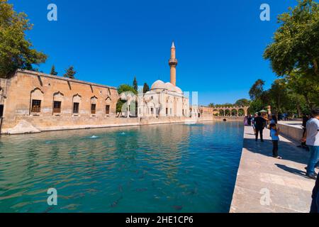 Balikligol. Balikligol or prophet Abraham's Pool in Sanliurfa Turkey. Sanliurfa Turkey - 8.16.2021 Stock Photo