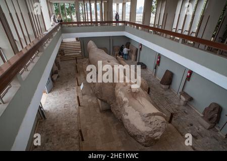 A giant statue of Rameses II, an Egyptian pharaoh lies in the museum built to display it in Memphis, Egypt. Stock Photo