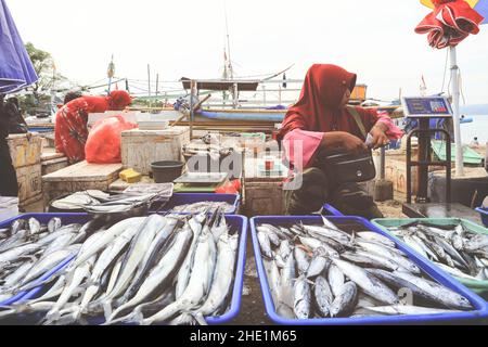 Bali, Indonesia - Febuary 8, 2020 : Selective focus on fishes selling on morning market in Kedonganan - Passer Ikan, Jimbaran beach, Bali, Indonesia Stock Photo