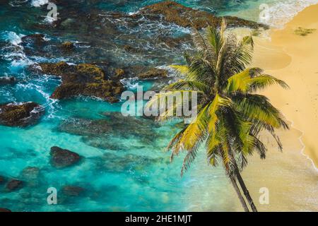 Beautiful beach. View of nice tropical beach with palms trees. Holiday and vacation concept. Stock Photo