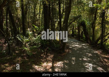 Wharekai Te Kou Walk at Jackson Bay in Mount Aspiring National Park,West Coast on South Island of New Zealand Stock Photo