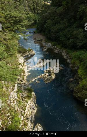 Pelorus River in Pelorus Bridge Scenic Reserve,Marlborough Region on South Island of New Zealand