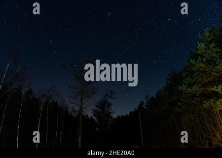 Cobbled, narrow road running through the forest. It is night, and it is impenetrable darkness. You can see the stars in a cloudless sky. Stock Photo
