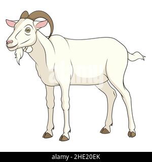 Color illustration with a goat. Isolated vector object on a white background. Stock Vector