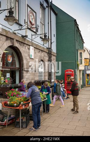 UK, Wales, Pembrokeshire, Pembroke, Main Street, plant stall outside Town Hall Stock Photo