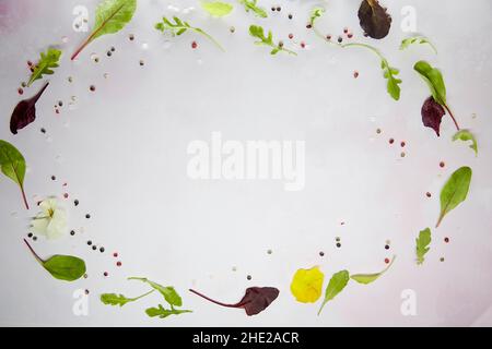 Salad mix natural frame: fresh chard, arugula, bulls blood, rukkola, flowers and peppercorns decoration. Natural herbs. Organic cooking concept. Food background. Copy space. Healthy food eating Stock Photo