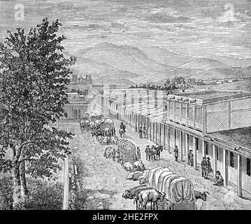 A late 19th Century illustration of a street scene with wagons and oxen in an unknown Mexican town. Stock Photo