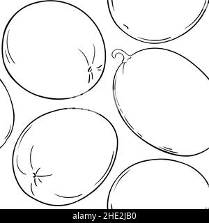 melon fruit vector pattern on white background Stock Vector