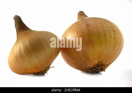 Onions isolated on white background. Whole fruits of vegetables. Stock Photo