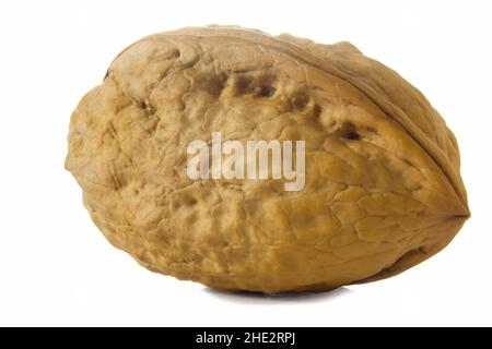 Walnut close-up isolated on white background Stock Photo