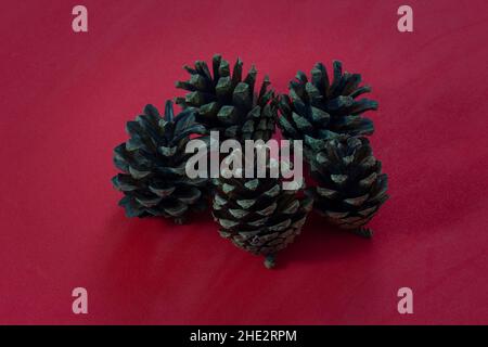 Pine cones on a red background Stock Photo