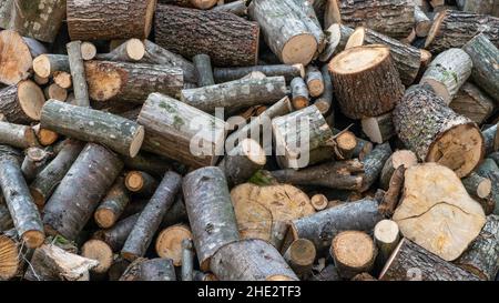 firewoods, pile of wood for burning as a background. background or surface with heap of cut wood or tree log for burning in winter. firewoods stack Stock Photo