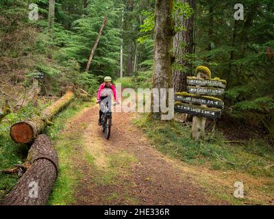 WA21033-00...WASHINGTON - Riding the old forest roads turned into hiking and biking trails in Moran State Park on Orcas Island. Stock Photo