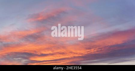 Pink orange sunset cirrus clouds on evening sky Stock Photo