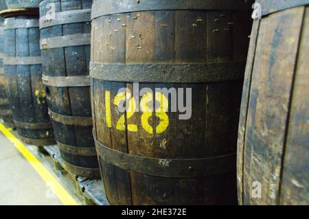 Wooden barrels in tobacco factory Stock Photo