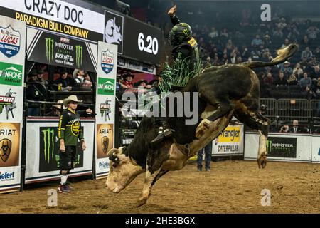 New York, NY - January 7, 2022: Chase Outlaw of Hamburg, Arizona rides a bull during PBR Unleash The Beast at Madison Square Garden Stock Photo