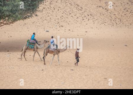 A camel ride in the Egyptian wilderness. Stock Photo