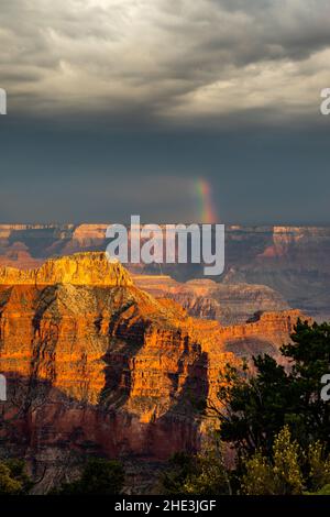 Grand Canyon with sunlight on cliffs with dark clouds and rainbow in the distance from Point Sublime on North Rim of Grand Canyon National Park AZ Stock Photo