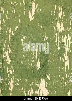 An old fence made of faded green plywood. Stock Photo