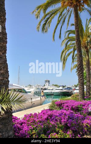 Marina view, Puerto Portals, Portal Nous / Bendinat, Palma Municipality, Majorca (Mallorca), Balearic Islands, Spain Stock Photo