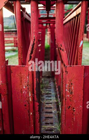 Closeup of Red colored Cattle squeeze chute on farm in Texas Stock Photo