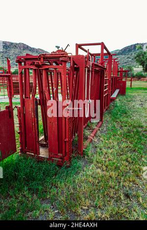 Closeup of Red colored Cattle squeeze chute on farm in Texas Stock Photo