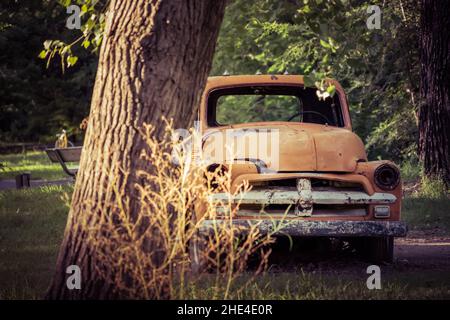 Beautiful shot of an old truck behind a big tree Stock Photo