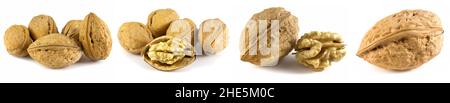 Walnuts isolated on white background. Set of 4 photos. Stock Photo