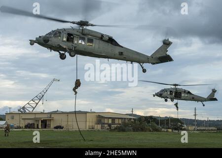 Sailors fast rope from an MH-60S Sea Hawk helicopter during training ...