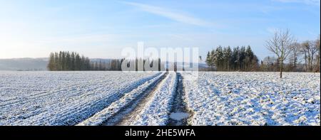Panorama of snow covered landscape in the woodlands of Westerwald region during wintertime in Rhineland-Palatinate, Germany, Europe Stock Photo