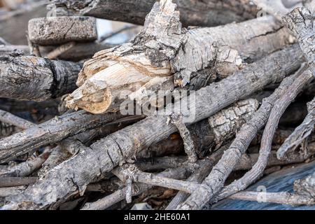 Close-up shot of a stack of cut firewood timber in nature Stock Photo