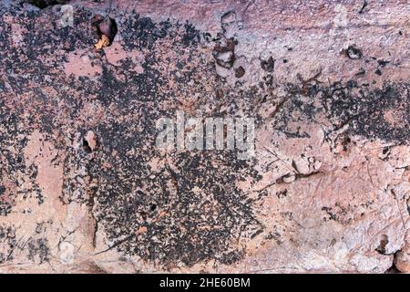 Old grungy dirty weathered cracked wall with black spots texture Stock Photo