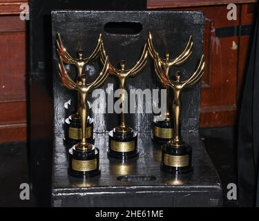 Sherman Oaks, California, USA. 8th January, 2022. The Showbiz Trophy awards for the California Women's Film Festival Awards Ceremony and 'Free Dead Or Alive' Screening at the Whitefire Theatre in Sherman Oaks, California. Credit: Sheri Determan Stock Photo