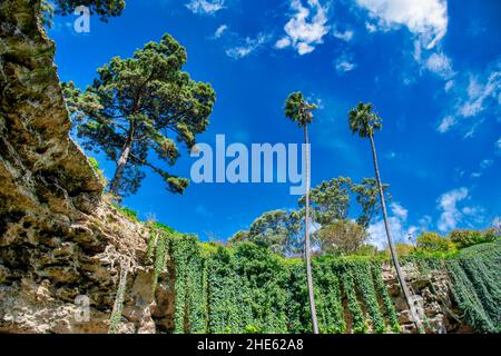 Beauitful view of Umpherston Sinkhole in Mt Gambier, Australia Stock Photo