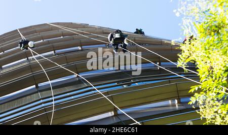 Industrial alpinists cleaning skyscraper Stock Photo