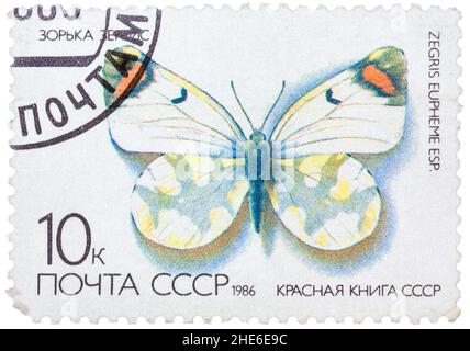 Stamp from the USSR (Scott 2008 catalog number 5437) shows image of a sooty orange tip butterfly (Zegris eupheme), circa 1986 Stock Photo