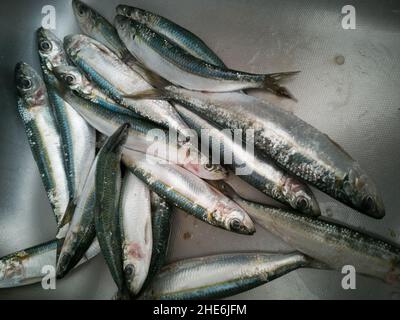 Mediterranean Fish in open seamarket, Napoli Stock Photo