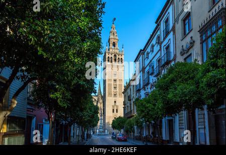 La Giralda (translated to The Giralda), the bell tower of Seville's Cathedral framed by some Orange trees, Spain Stock Photo