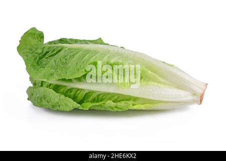 Romaine lettuce vegetable on white background Stock Photo