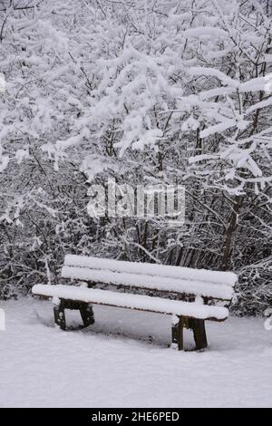 Wooden bench in a park fully covered in snow Stock Photo - Alamy