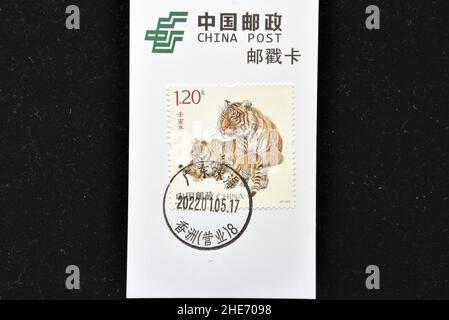 CHINA - CIRCA 2022: A stamps printed in China shows Ren Yin Year (Year of the Tiger).  circa 2022. Stock Photo