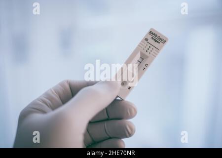 Closeup view of gloved hand with SARS-CoV-2 rapid antigen test nasal. Self test verifies positivity covid-19. Health, healthcare protection, contagion Stock Photo