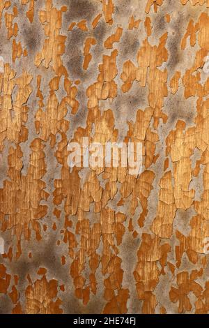 Weathered, cracked and peeling plaster - grunge texture Stock Photo