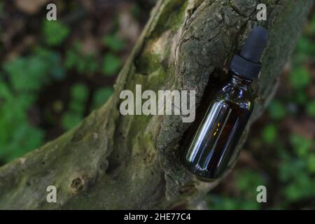 A selective focus shot of a black ampule on a tree filled with liquid Stock Photo