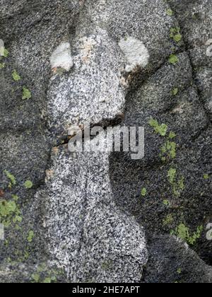 Close Up Photograph of Gray Rocks Growing Light Green Lichen Creating a Spotted Pattern on the Rock Surface