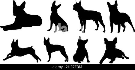 boston terrier dog silhouette bundle svg Stock Vector