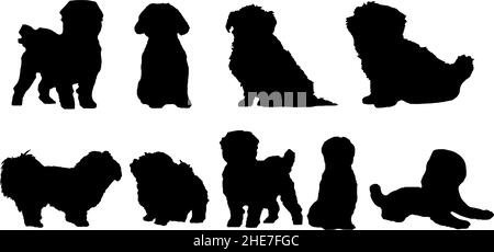 vector isolated maltese dog silhouette bundle eps Stock Vector