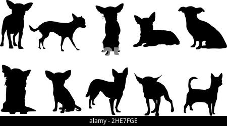 chihuahua silhouette Stock Vector Image & Art - Alamy