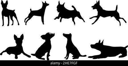 toy fox terrier dog silhouette bundle svg Stock Vector